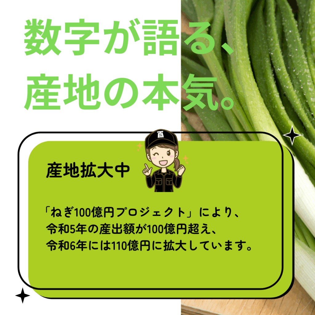 数字が語る、産地の本気。産地拡大中 [ねぎ100億円プロジェクト]により、令和5年の産出額が100億円を超え、令和6年には110億円に拡大しています。