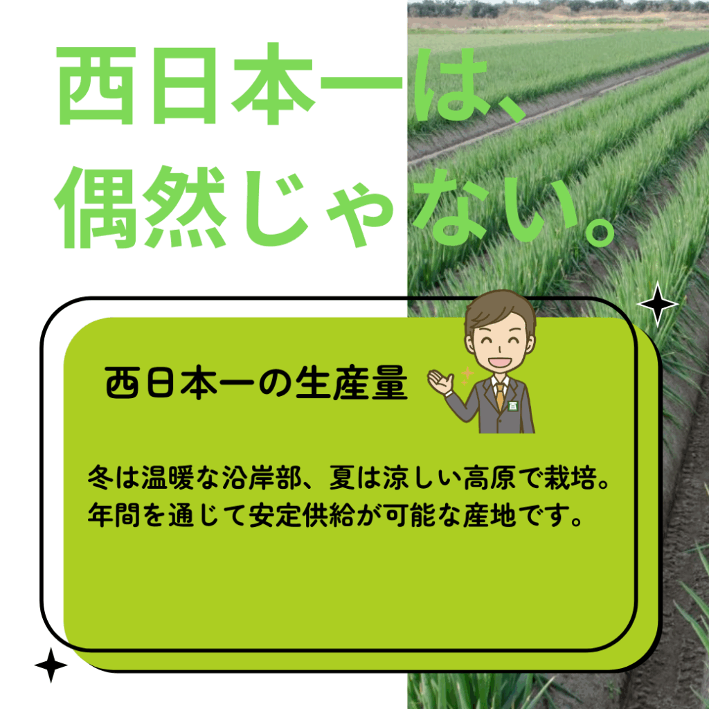 西日本一は、偶然じゃない。西日本一の生産量 冬は温暖な沿岸部、夏は涼しい高原で栽培。年鑑を通じて安定供給が可能な産地です。