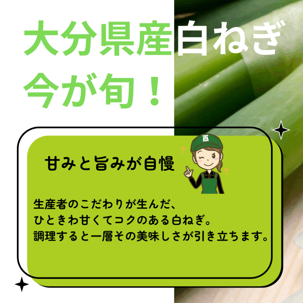 大分県産白ねぎ 今が旬! 甘みと旨味が自慢 生産者のこだわりが生んだ、ひときわ甘くてコクのある白ねぎ。調理すると一層その美味しさが引き立ちます。